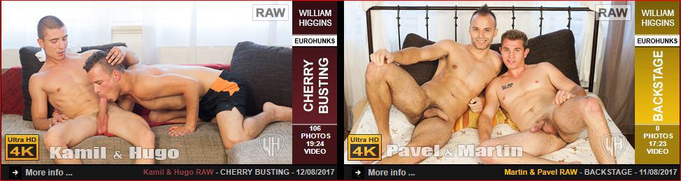 new gay porn sites 2017